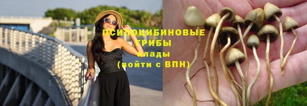 спиды Сатка