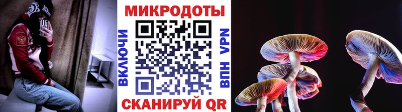 Галлюциногенные грибы мицелий  как найти закладки  Вичуга 